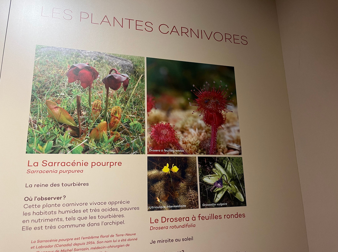 Nature Interpretation Center-Miquelon必去景点
