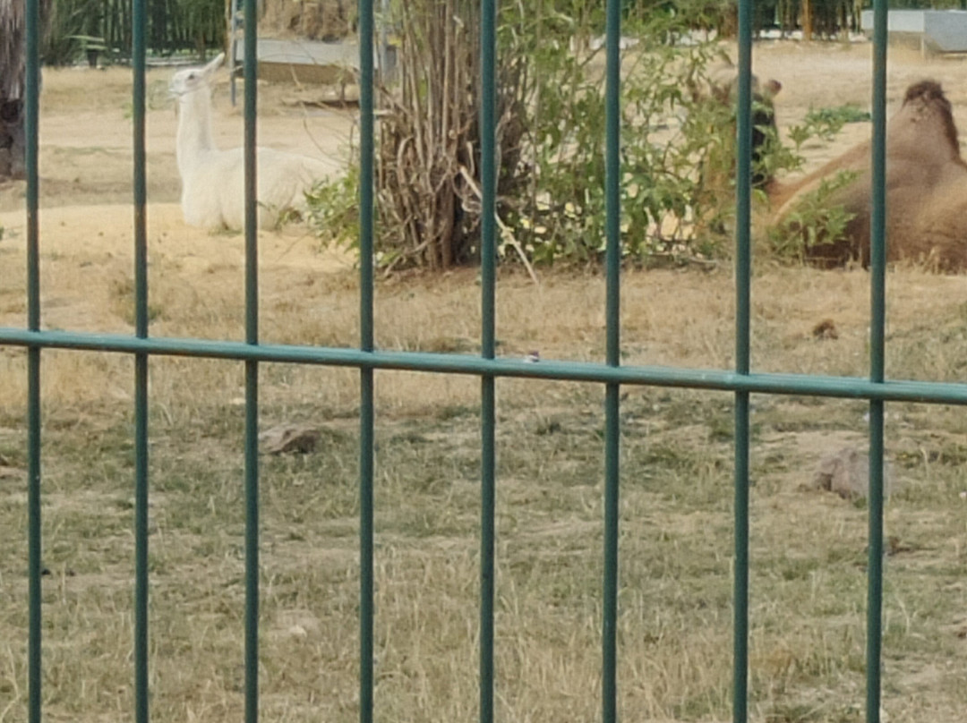 La Tanière - Zoo Refuge-Nogent-le-Phaye必去景点