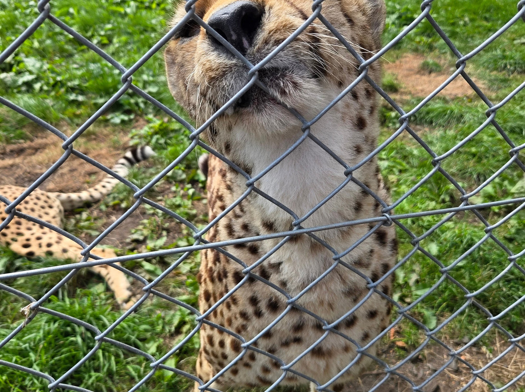 Five Sisters Zoo-West Calder必去景点