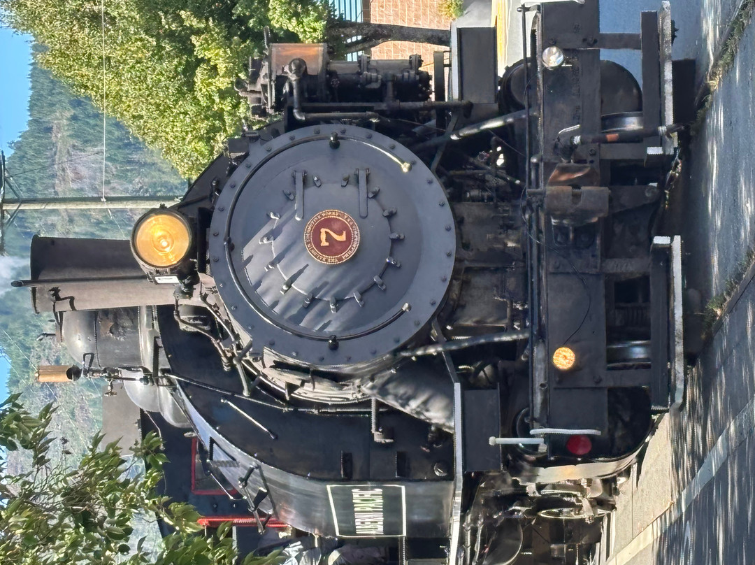 Alberni Pacific Railway-艾伯尼港必去景点