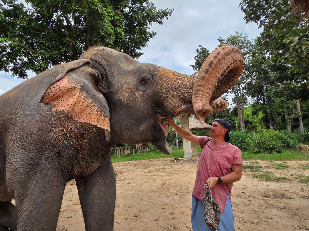 Maerim Elephant Sanctuary-夜林必去景点