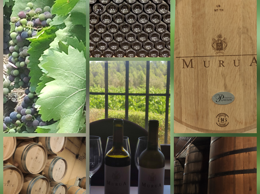 Bodega Murua-Elciego必去景点
