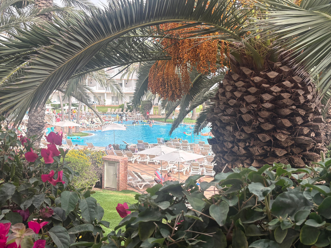 Iberostar Waves Founty Beach -All Inclusive主图