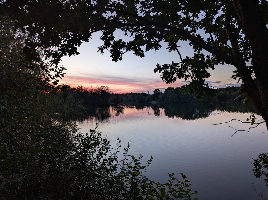 Wellington Country Park-雷丁必去景点