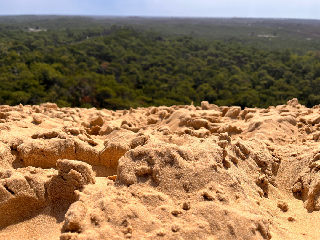 Great Dune of Pilat-拉泰斯特德比克必去景点