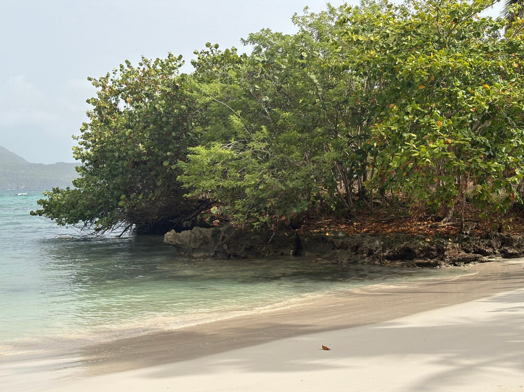 Javo Beach La Playita-Las Galeras必去景点