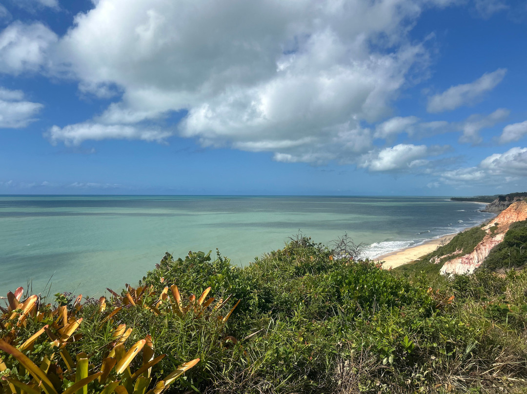 Club Med Trancoso主图