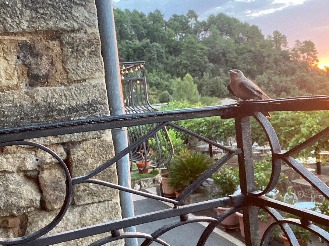 Auberge de la Tour de Brison主图