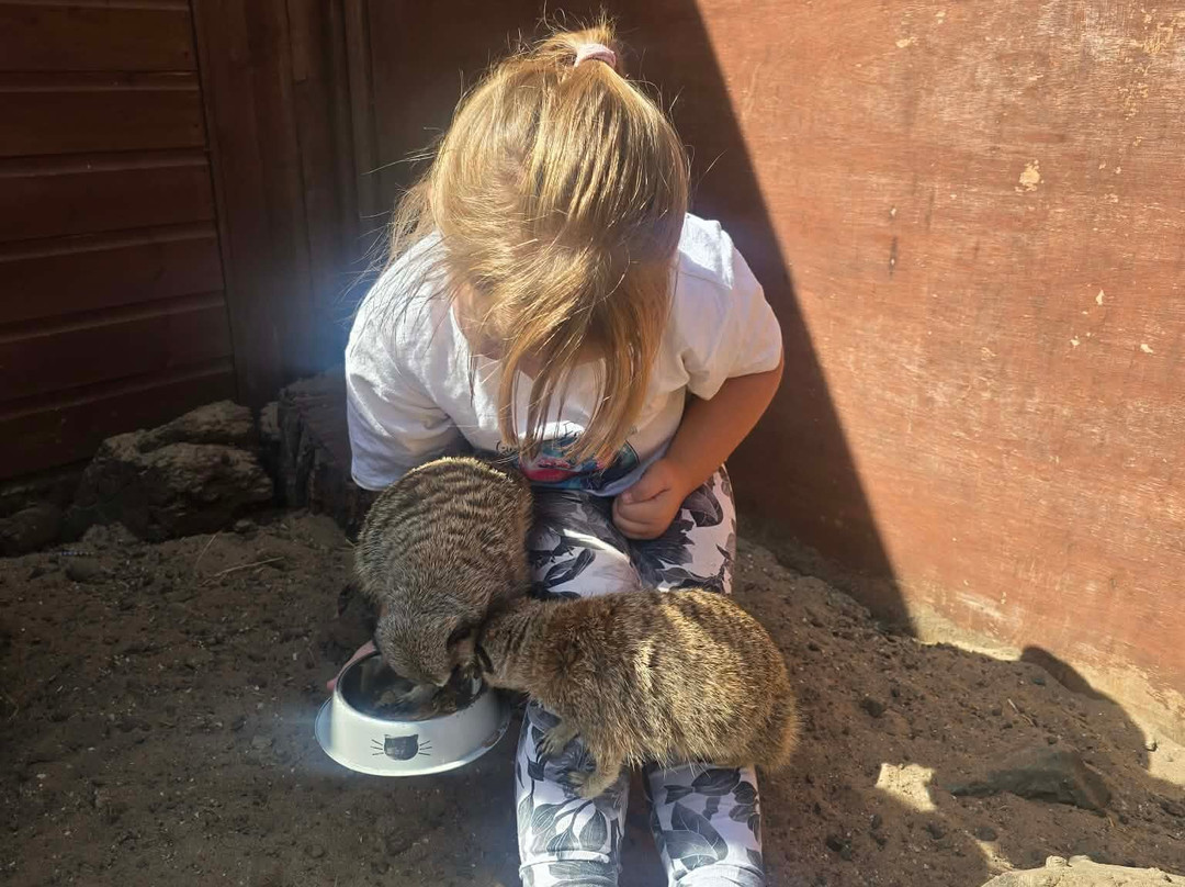 Ark Wildlife Park & Exotic Animal Sanctuary-Stickney必去景点