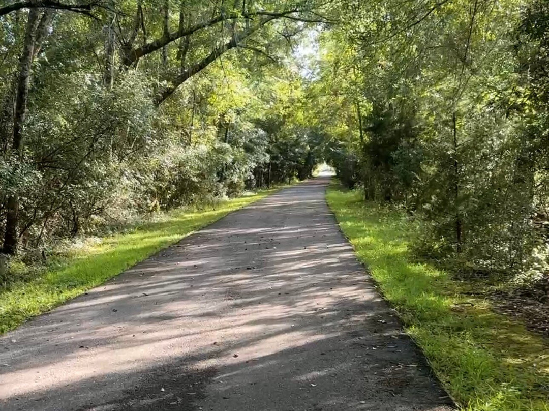 Blackwater Heritage State Trail-Milton必去景点