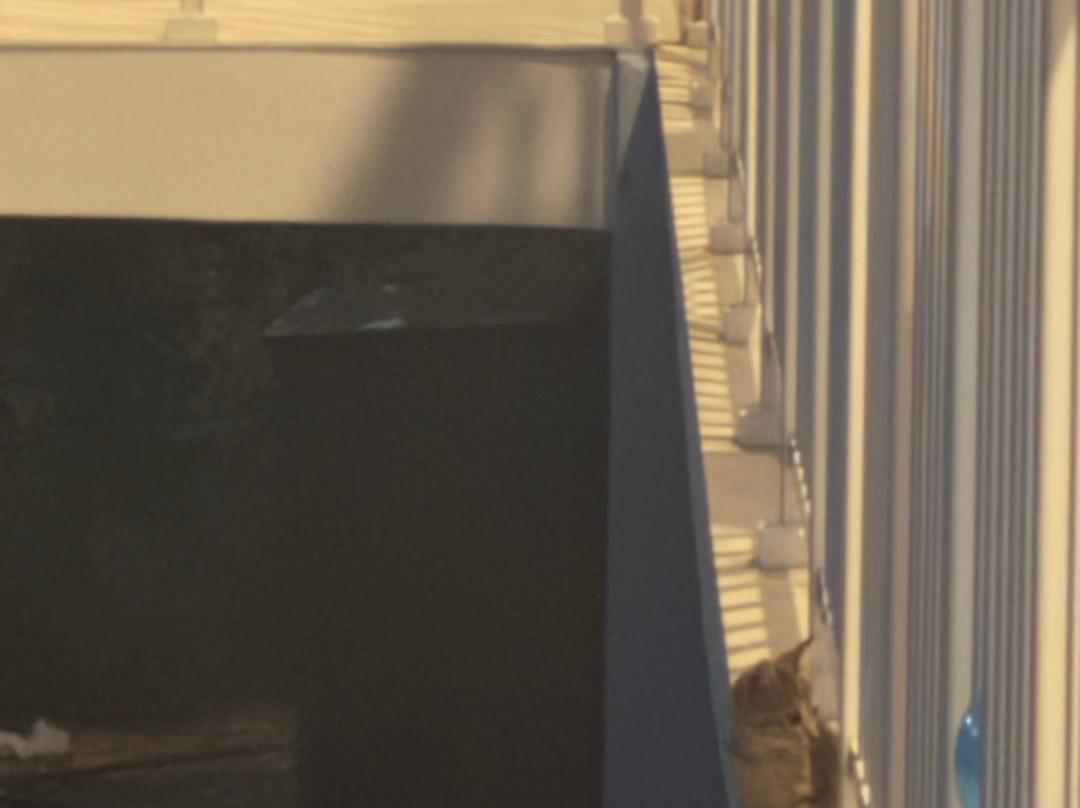 Filoxenia Hotel Apartments主图