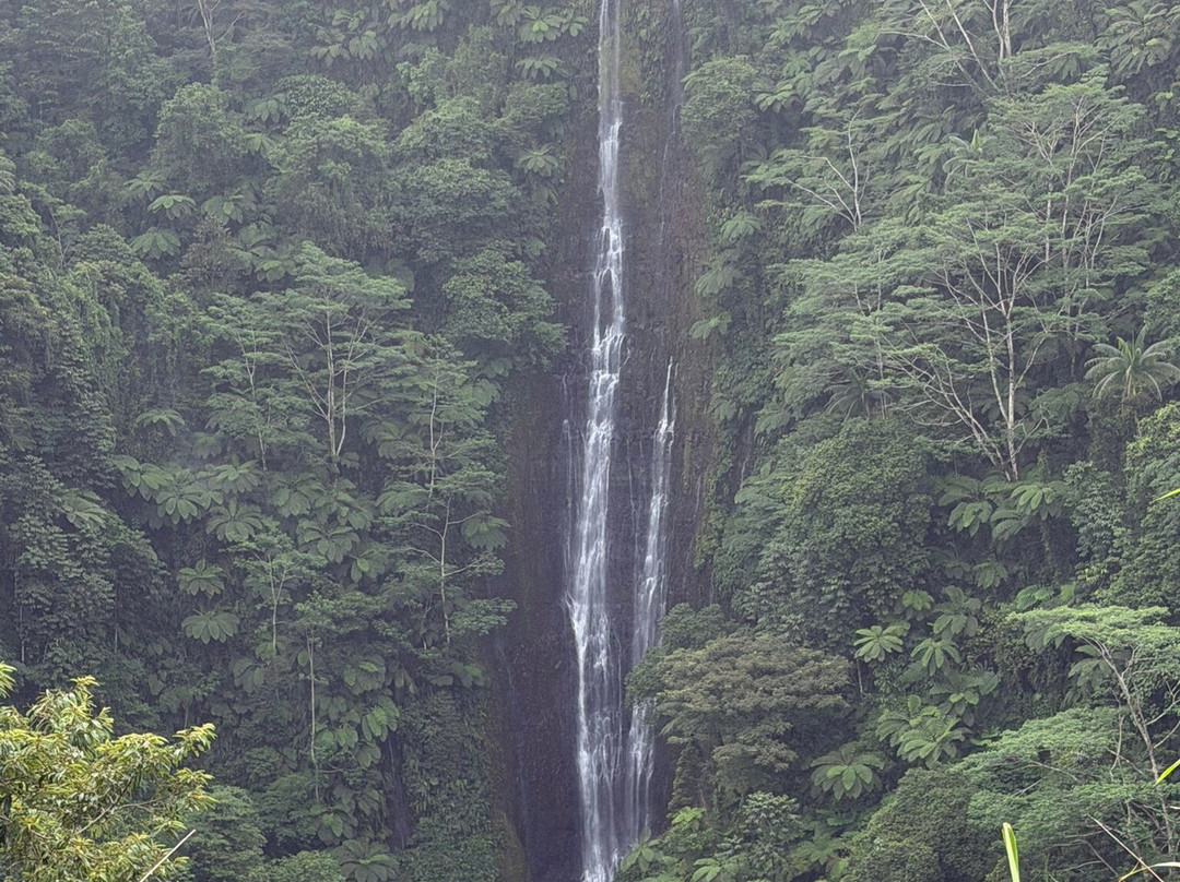 Papapapaitai Falls-阿皮亚必去景点