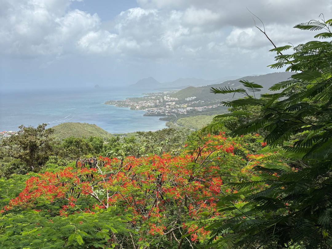 An Mao Jardin Paysager & Historique-Le Marin必去景点