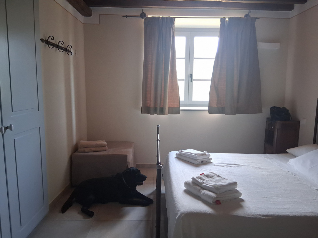 Agriturismo I Giunchi主图