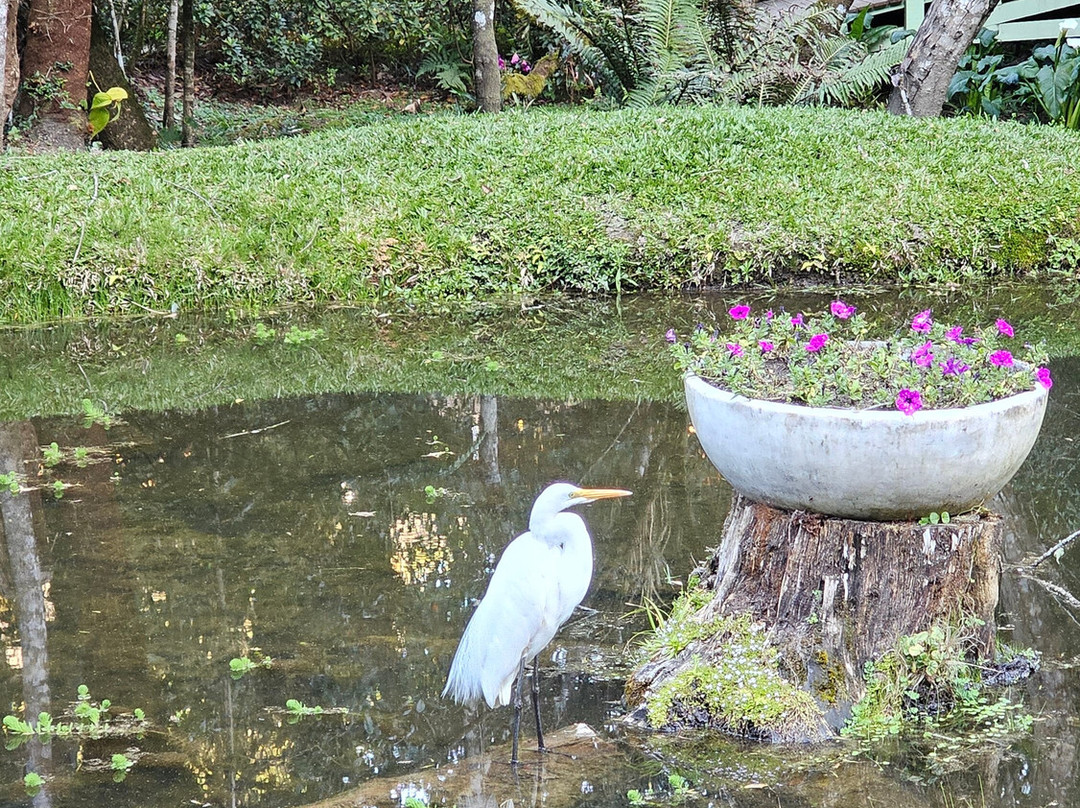 Bosque do Silêncio-坎普斯－杜若尔当必去景点