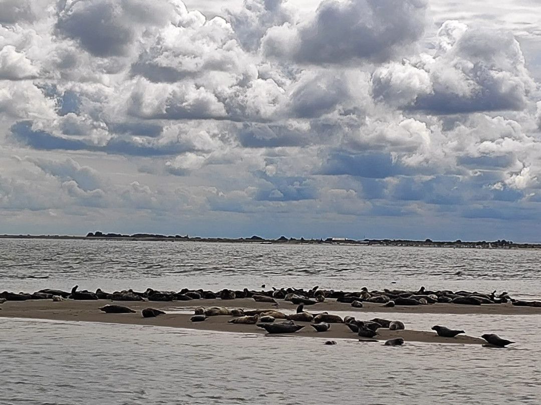 Waddenveer De Vriendschap-De Cocksdorp必去景点