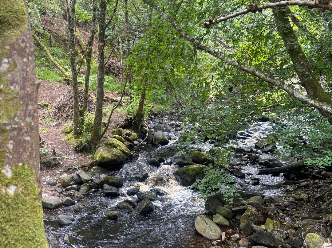 Big Burn Walk-Golspie必去景点