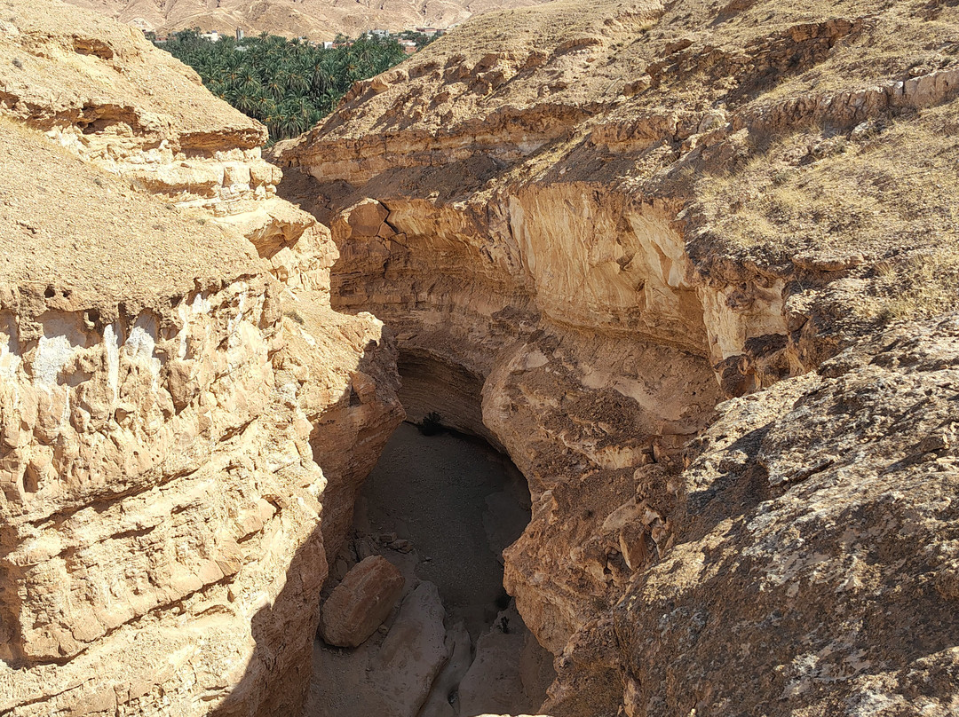 Tamerza Canyon-吐泽尔必去景点