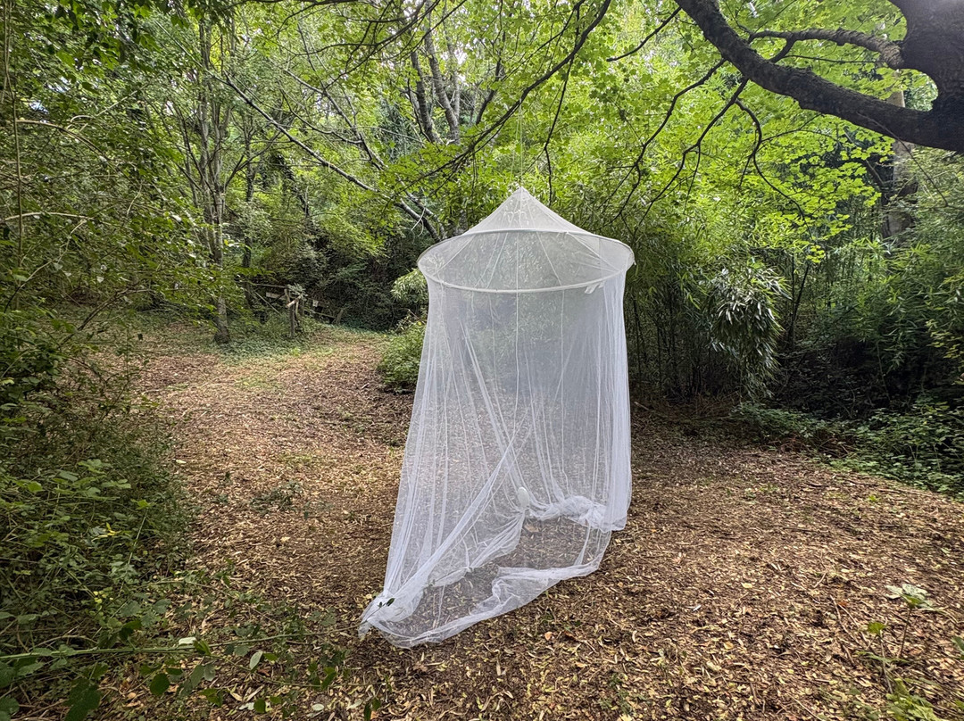 Il Giardino delle Farfalle-Cessapalombo必去景点
