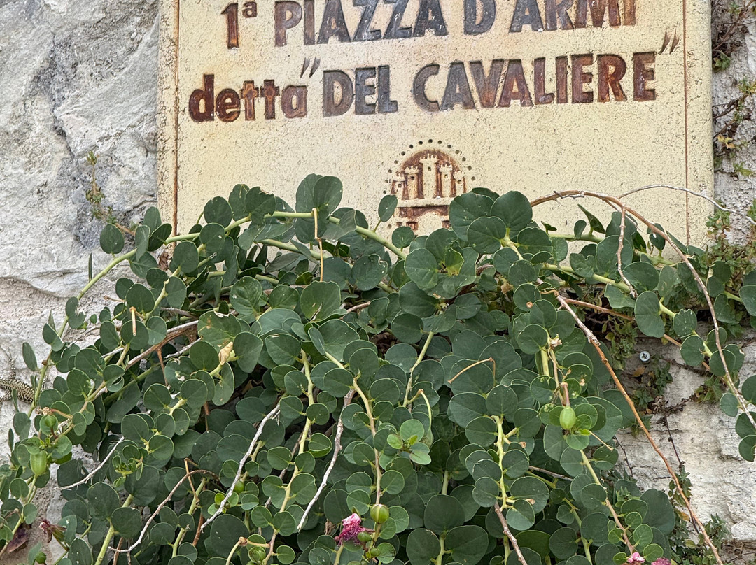 Fortezza Museo delle Armi Civitella del Tronto-Civitella del Tronto必去景点