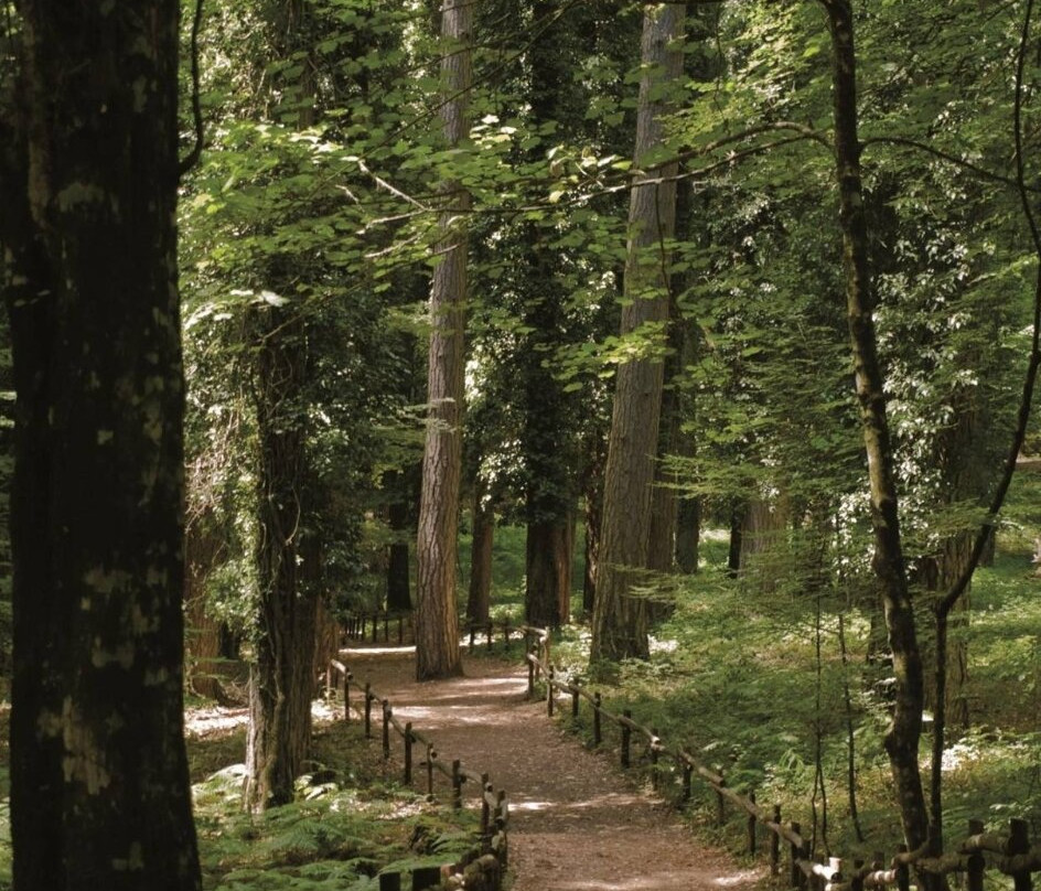 Foresta Umbra-Monte Sant'Angelo必去景点