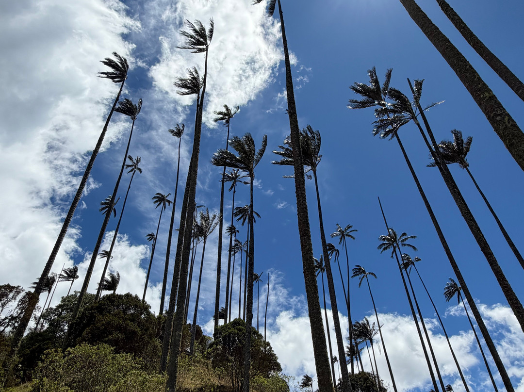 Tomplanmytrip-Copacabana必去景点