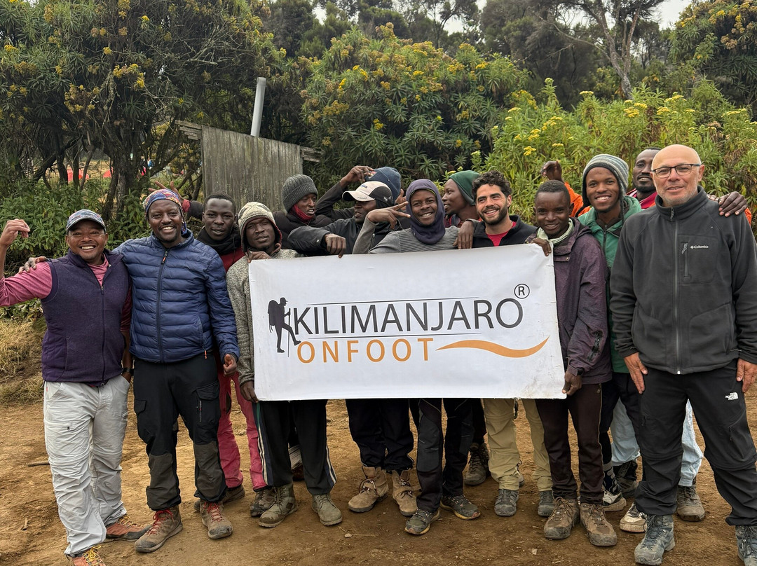 Kilimanjaro On Foot-阿鲁沙必去景点