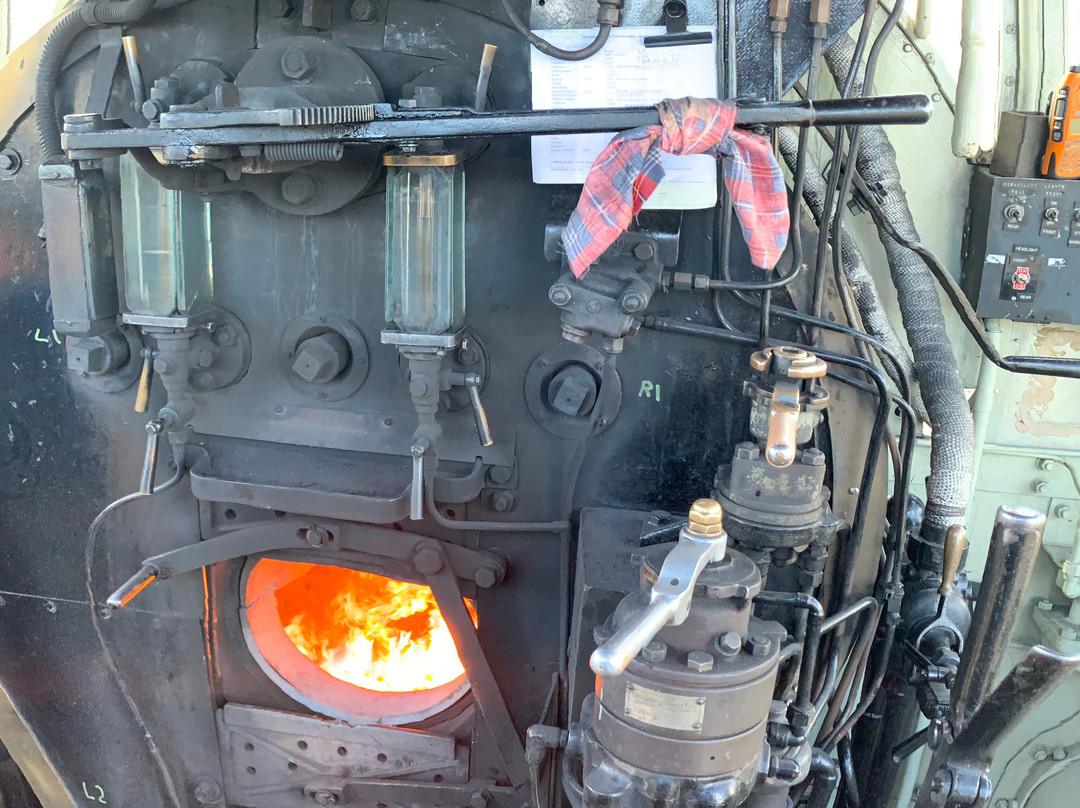Southern Downs Steam Railway-Warwick必去景点