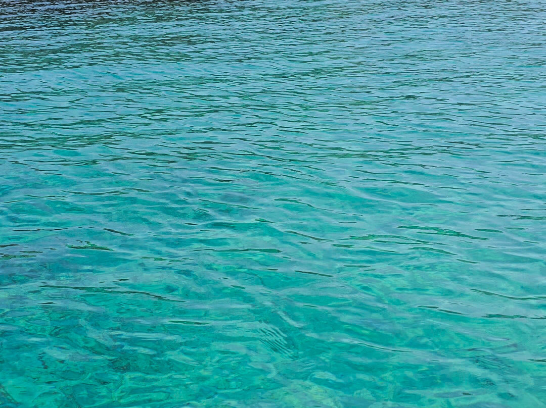 L'escapade En Mer-Carqueiranne必去景点