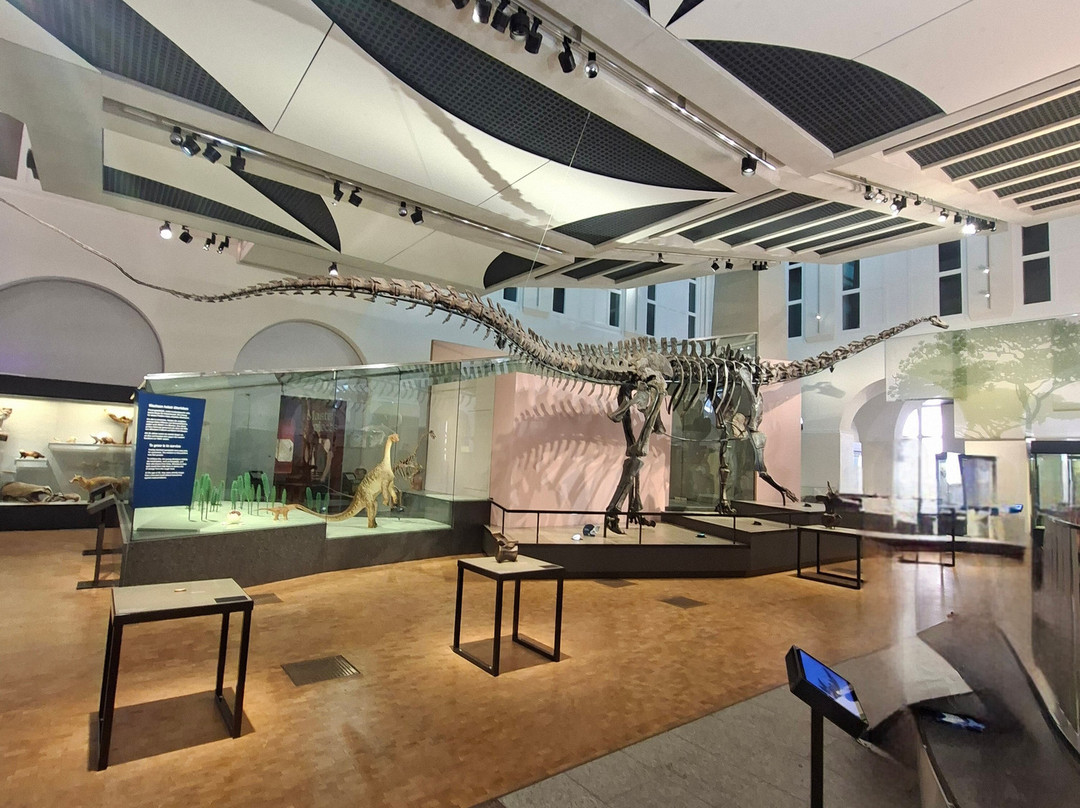 Zoologisches Museum der Universität Zürich-苏黎世必去景点
