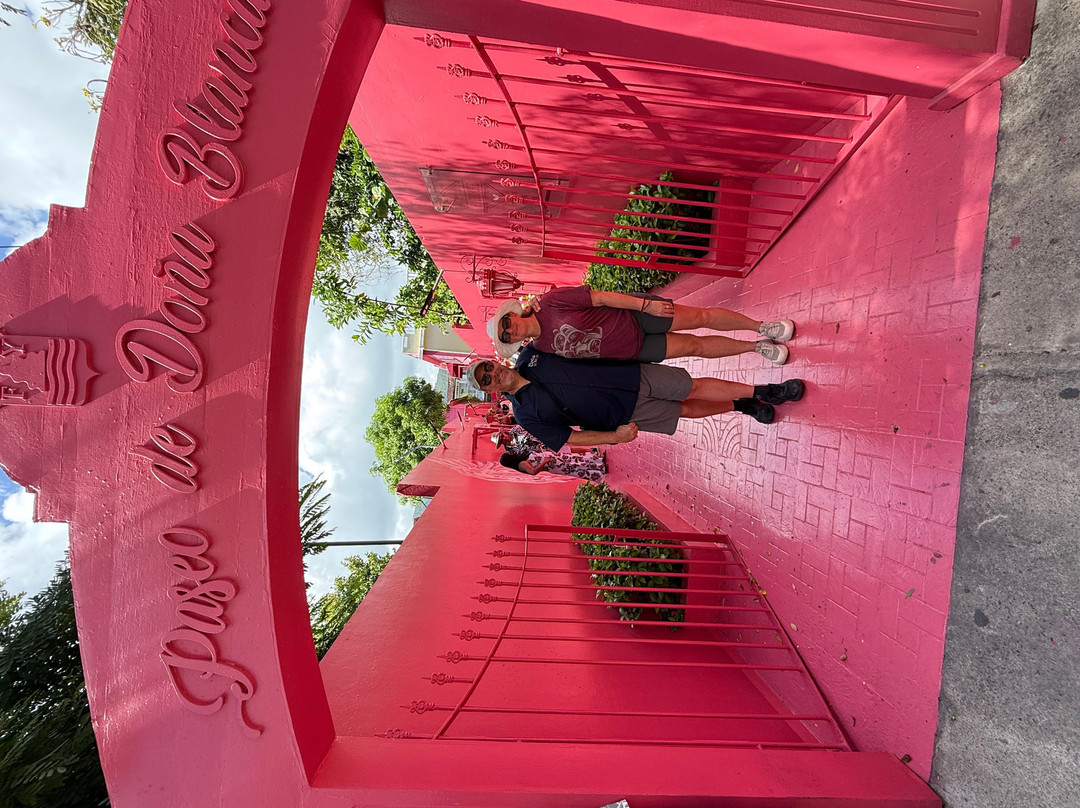 Tony tours by Amgmt Puerto Plata Shore Excurcions-普拉塔港必去景点