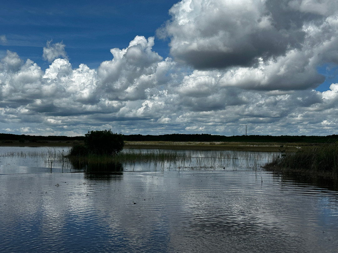 Captain Jack's Airboat Tours-大沼泽地必去景点