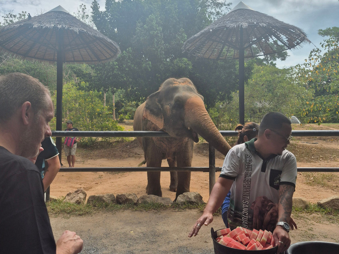 Samui Elephant Sanctuary-波普特必去景点