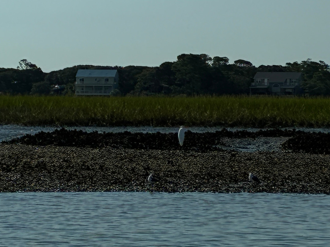 Charleston Fossil Adventures-查尔斯顿必去景点