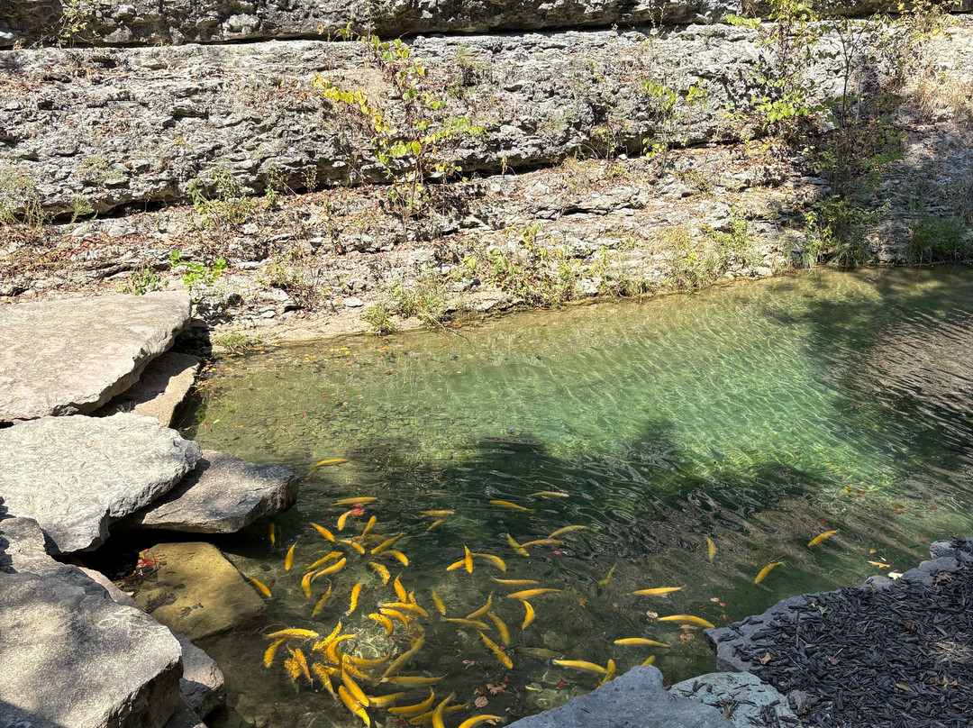 Dogwood Canyon Nature Park-Lampe必去景点
