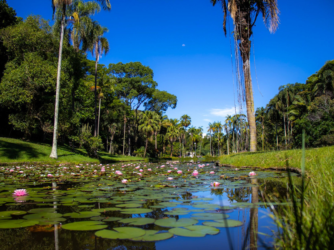 Jardim Botânico de São Paulo-圣保罗必去景点