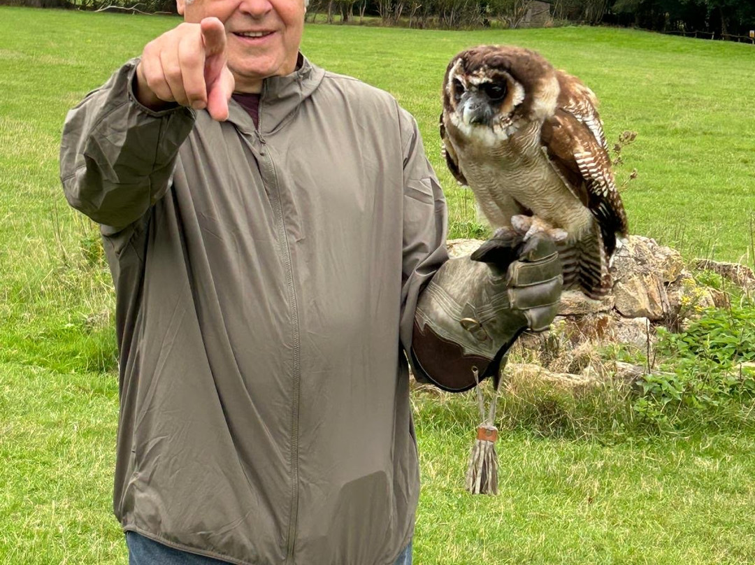 UK Owl And Raptor Centre-Groombridge必去景点