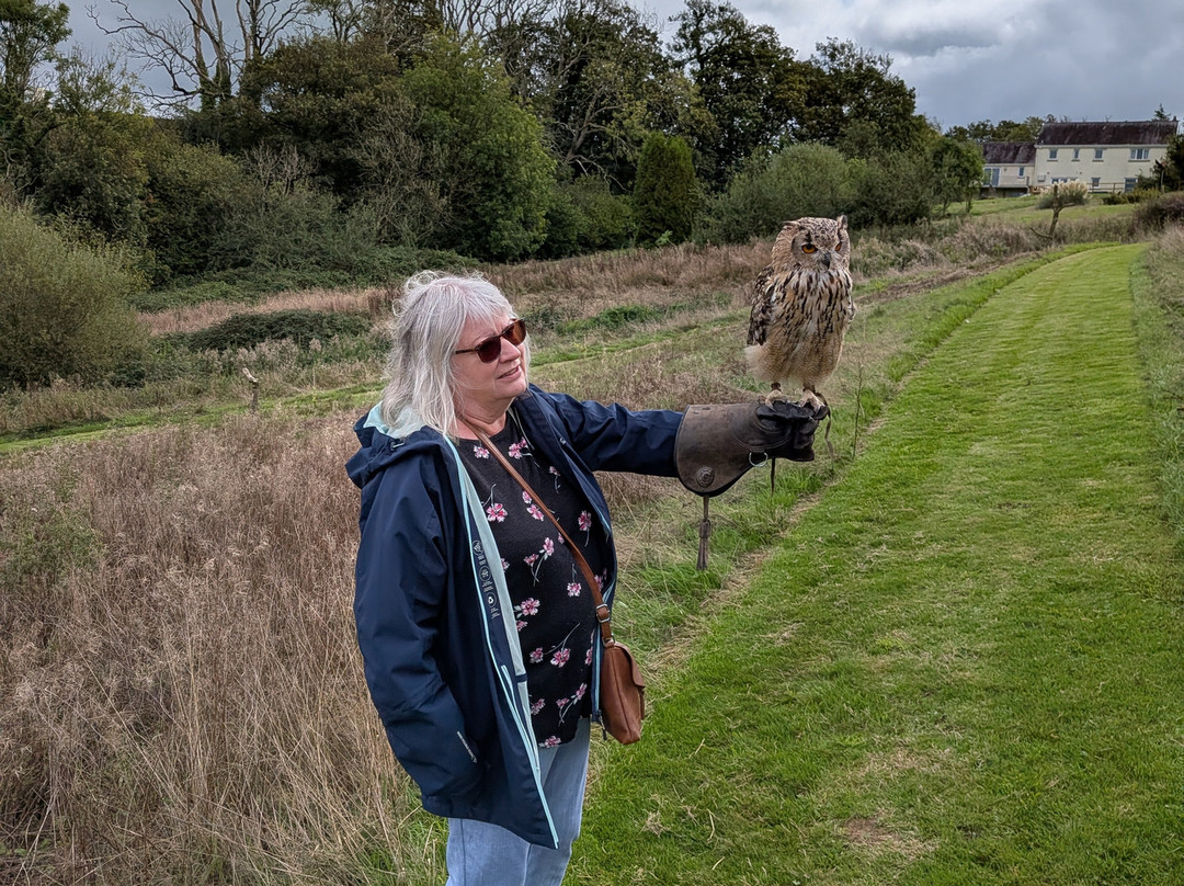 The British Bird of Prey Centre-喀麦登必去景点