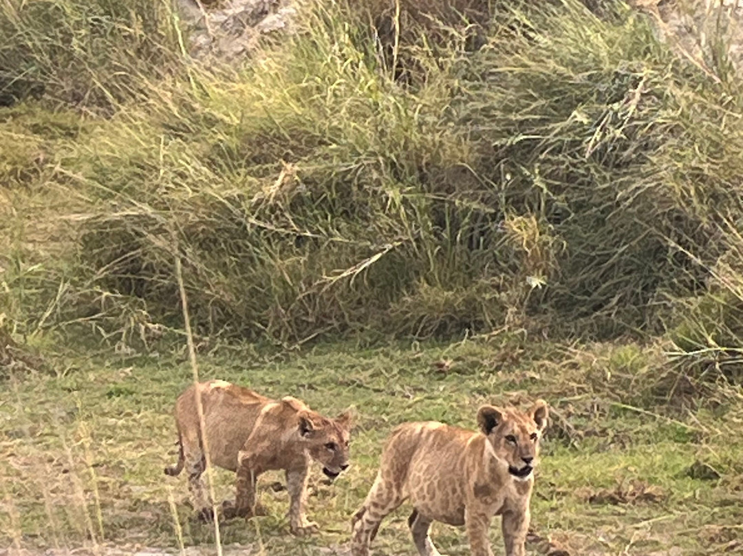 Brighte Maasai Adventures-Mara North Conservancy必去景点