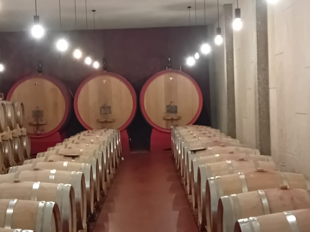 Cantina Pizzolato Società Benefit - Organic Wine Experience-维洛尔巴必去景点