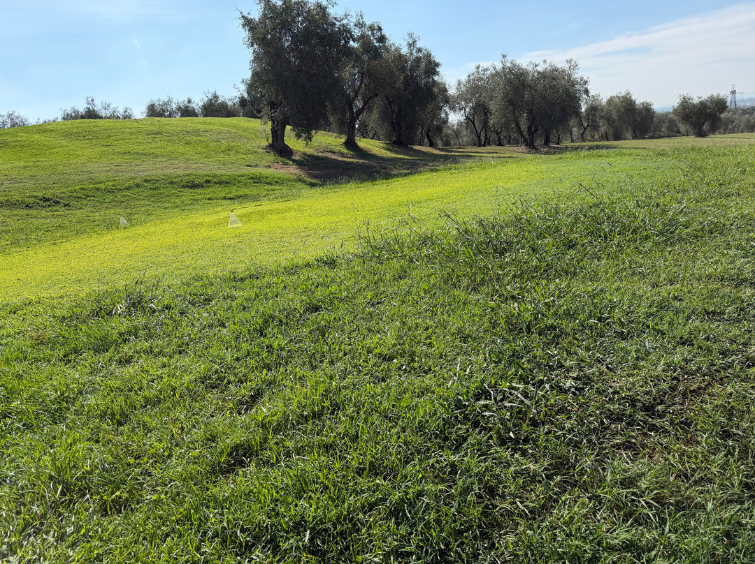 Montecatini Golf Club-蒙特卡蒂尼－泰尔梅必去景点