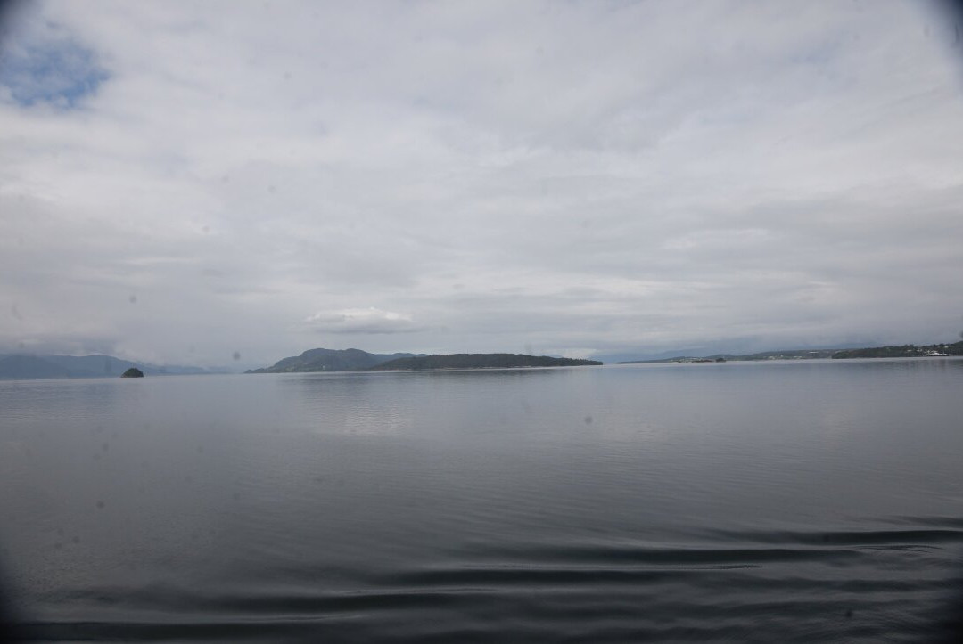 Le quai de ferry de Sølsnes-莫尔德必去景点