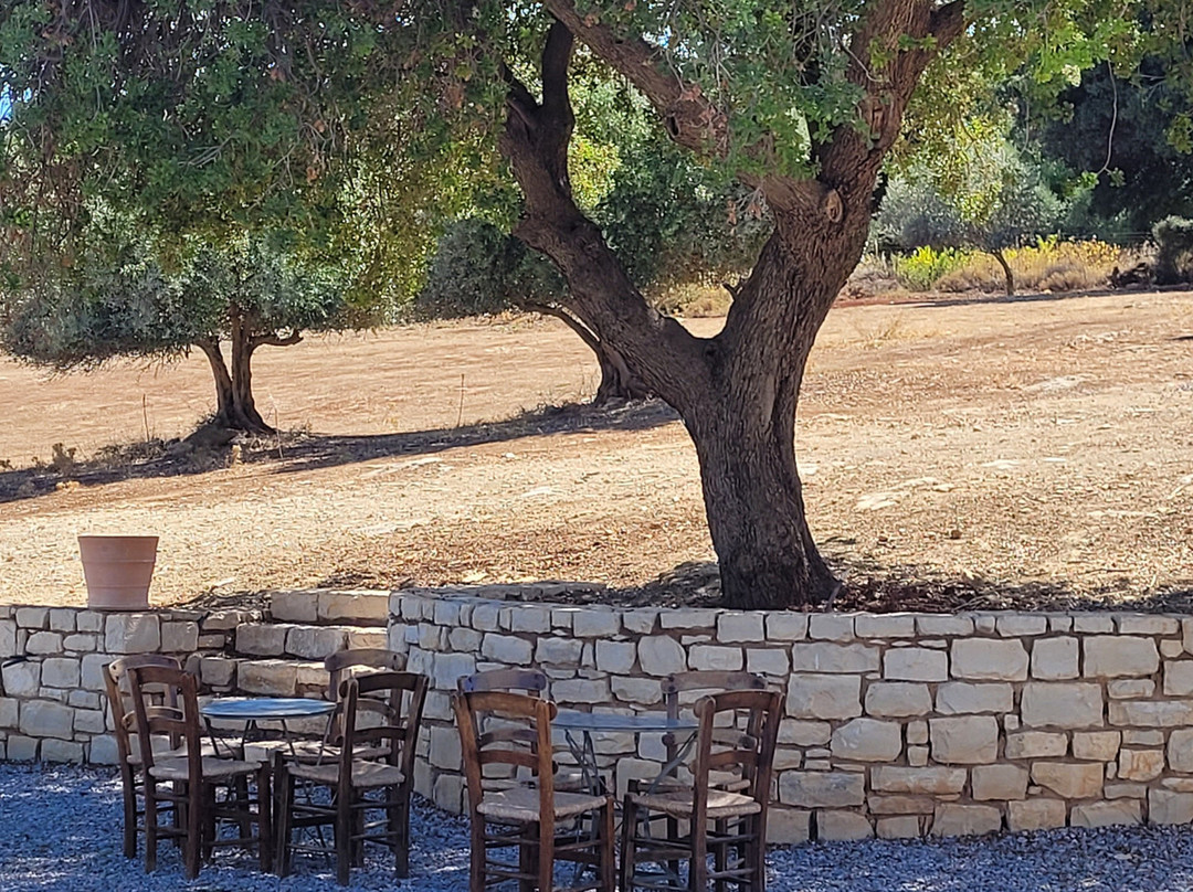 Check In Creta  Travel Services-雷斯蒙必去景点