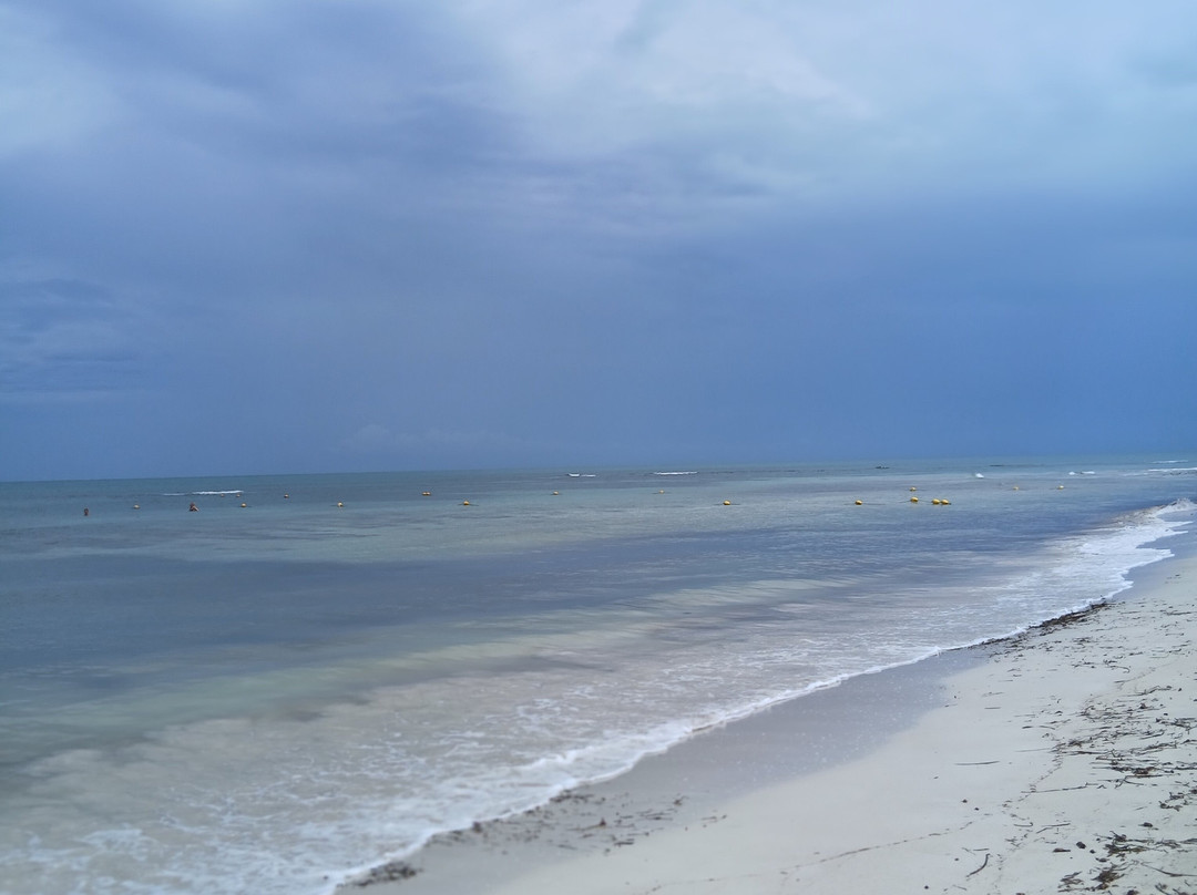 Seabel Rym Beach Djerba主图
