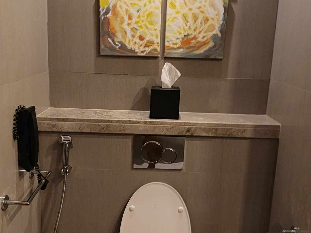 Holiday Inn 吉达，机场警区主图
