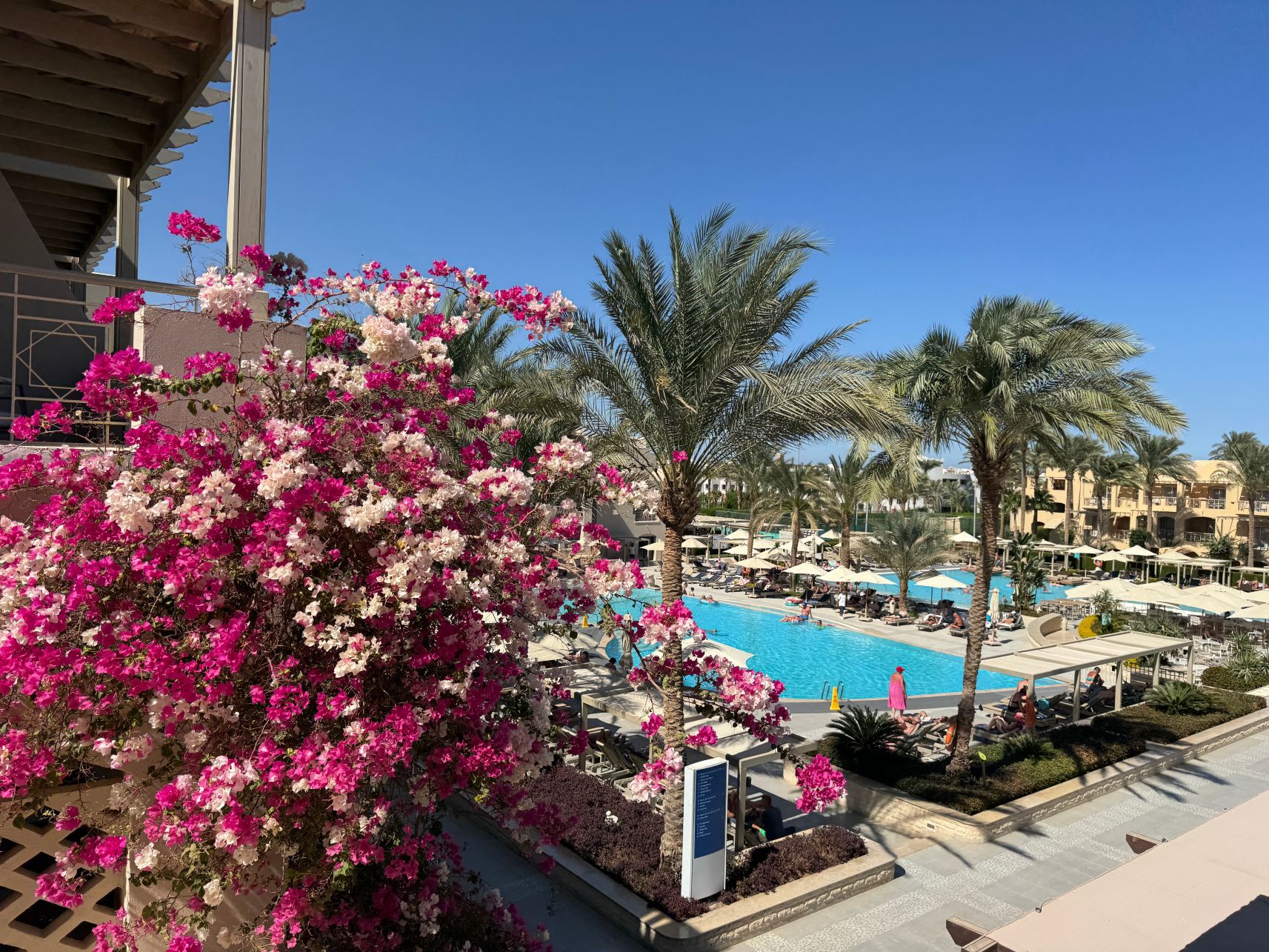 Jaz Makadi Gardens - TUI BLUE Makadi Gardens-泳池
