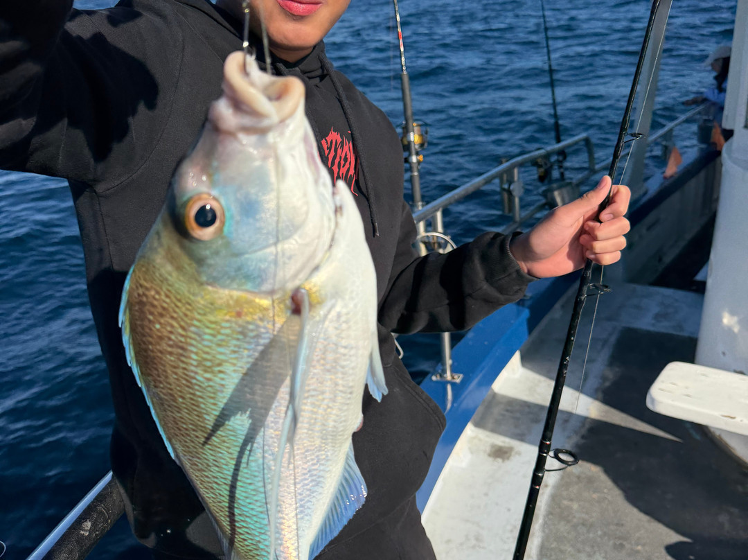 Deep Blue Charters Australia-Rose Bay必去景点