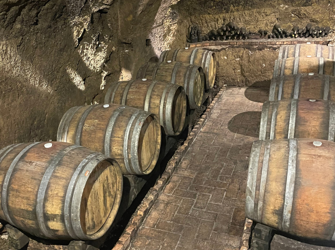 Cantine del Notaio-Rionero in Vulture必去景点