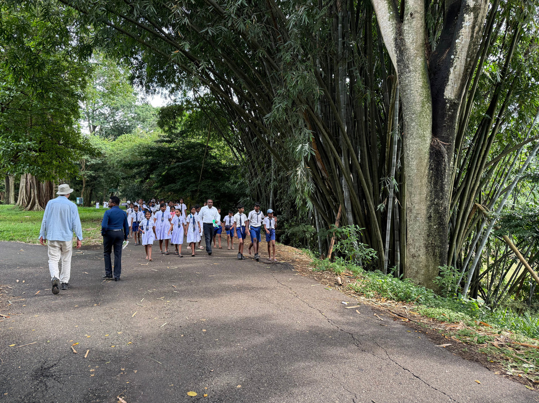 Royal Botanic Gardens Peradeniya-康提必去景点