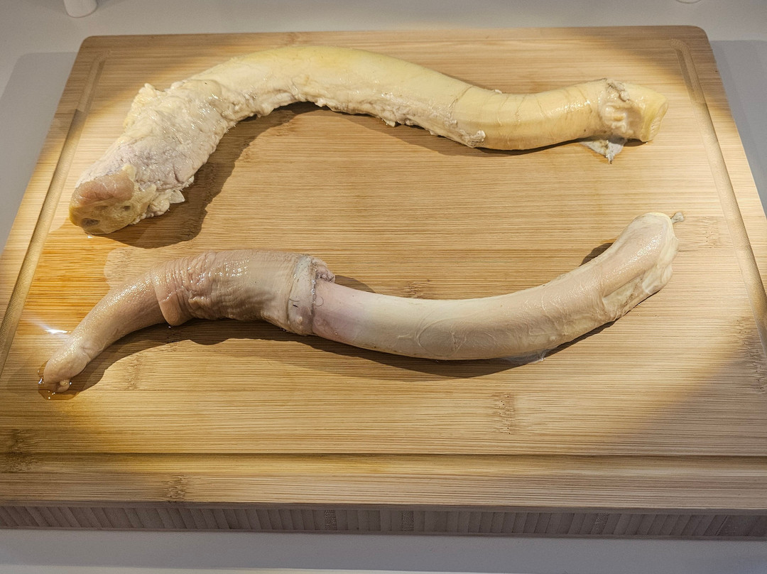 Disgusting Food Museum-马尔默必去景点